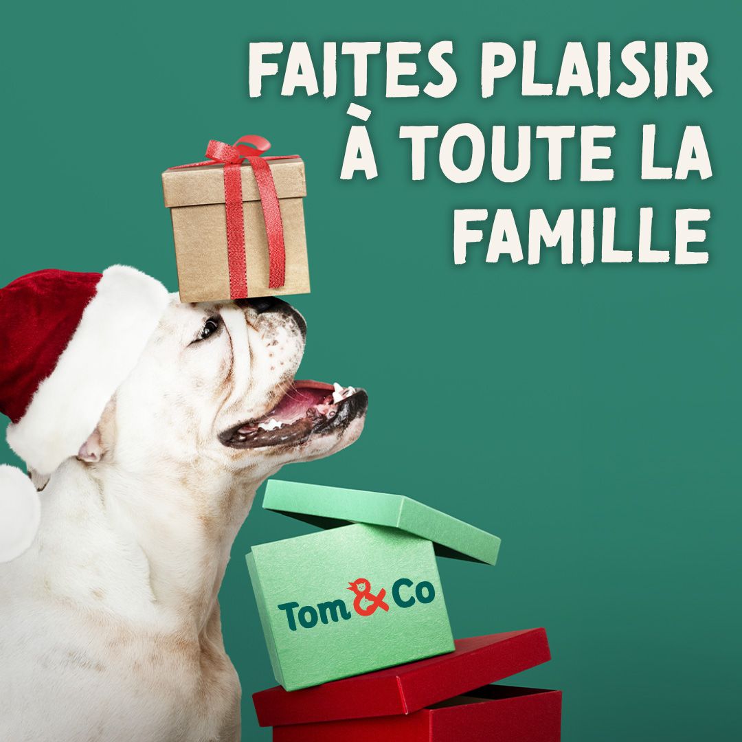 Tom & Co - Posts réseaux sociaux