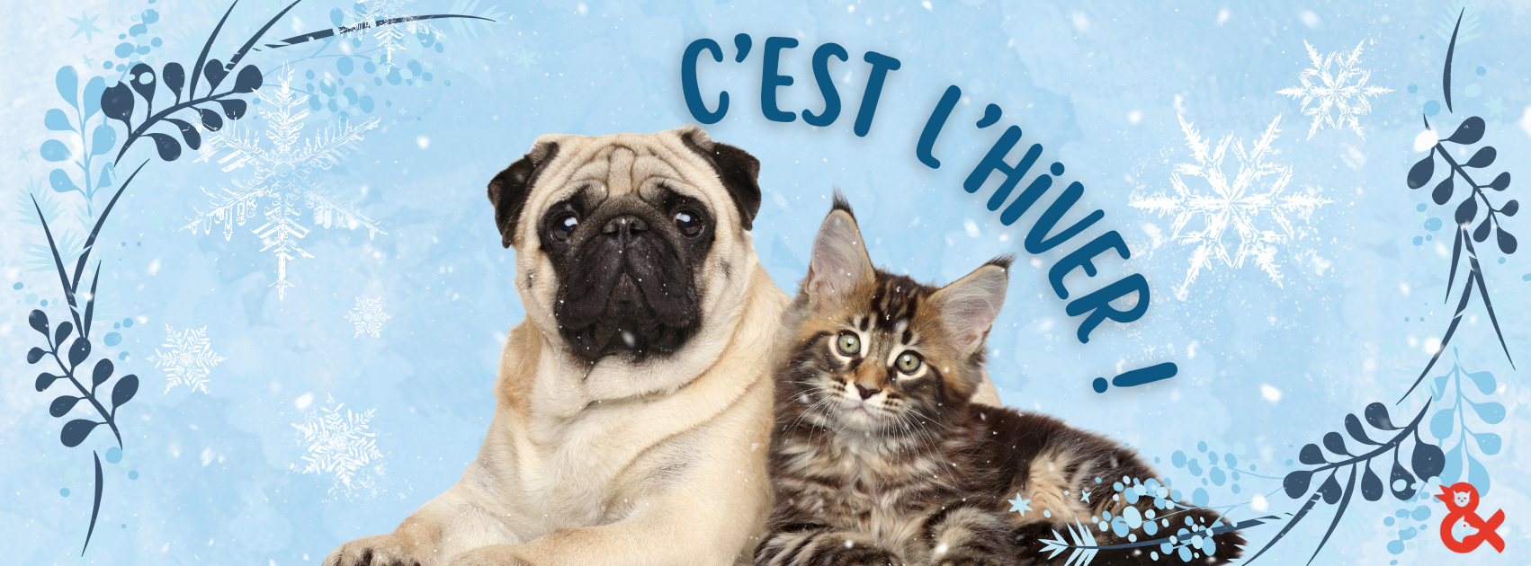 Tom & Co - Couvertures Facebook