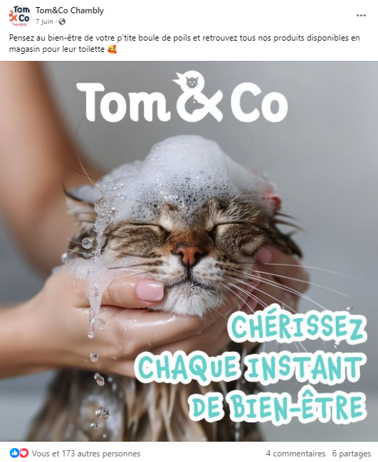 Tom & Co - KPIs & résultats