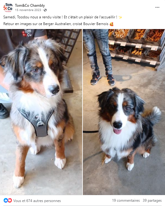 Tom & Co - KPIs & résultats