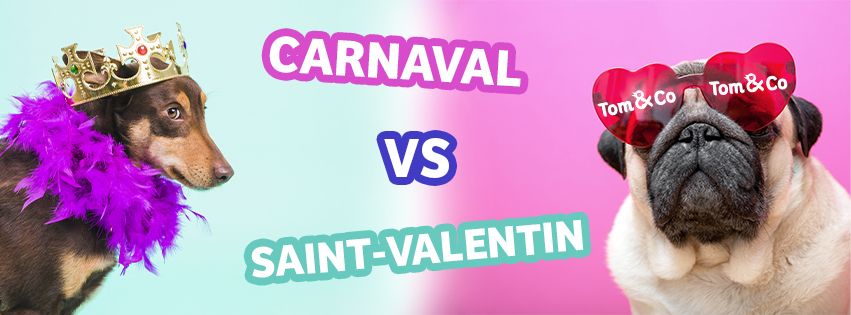 Tom & Co - Couvertures Facebook