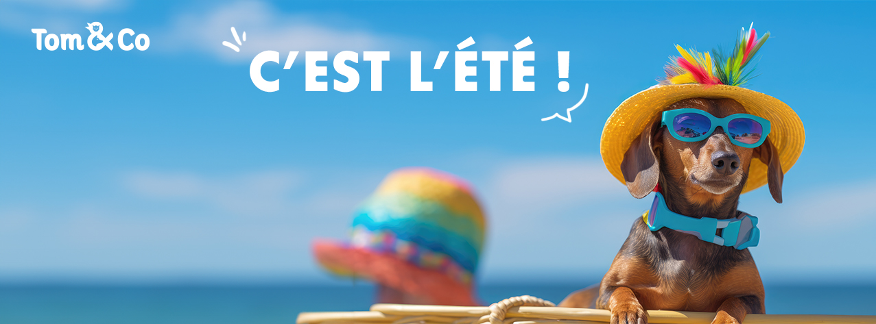 Tom & Co - Couvertures Facebook