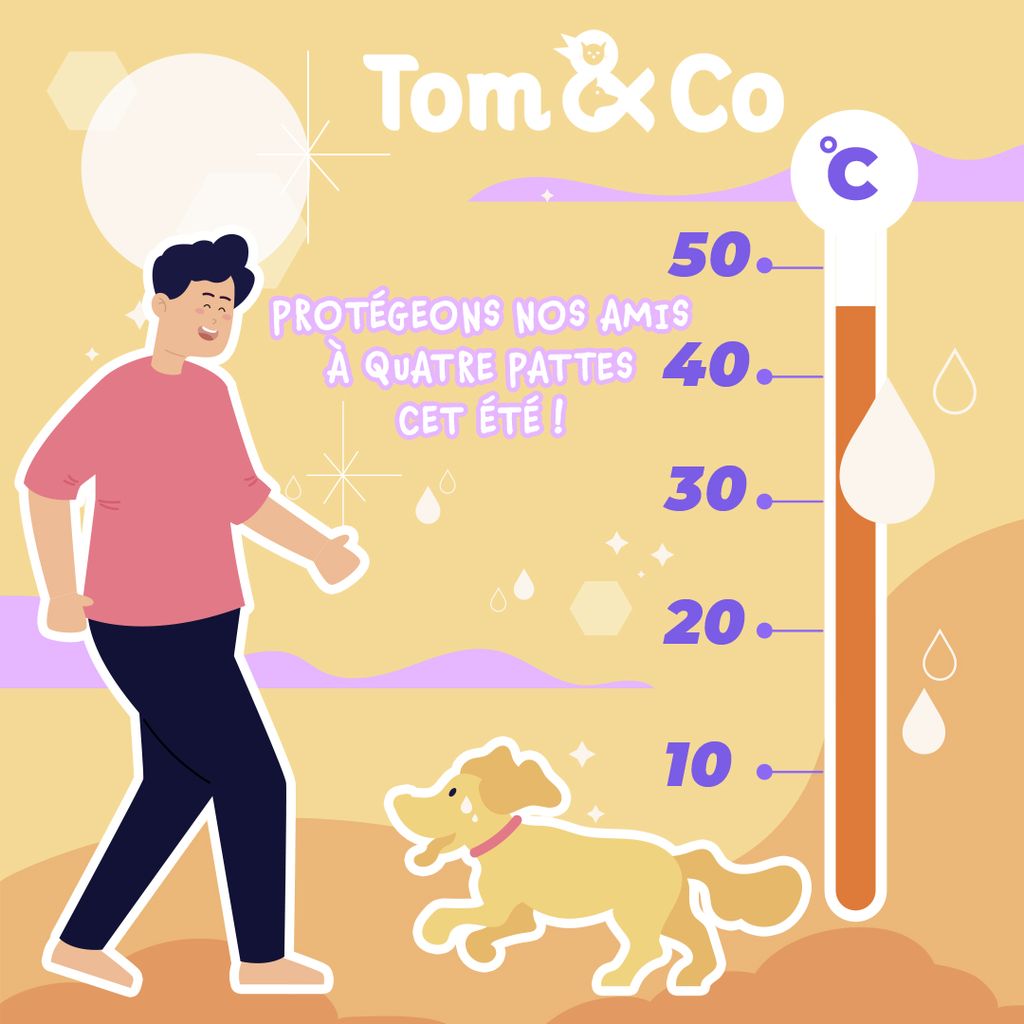 Tom & Co - Posts réseaux sociaux