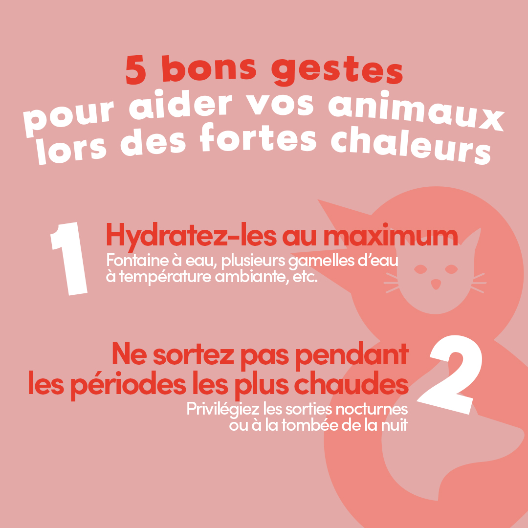 Tom & Co - Posts réseaux sociaux