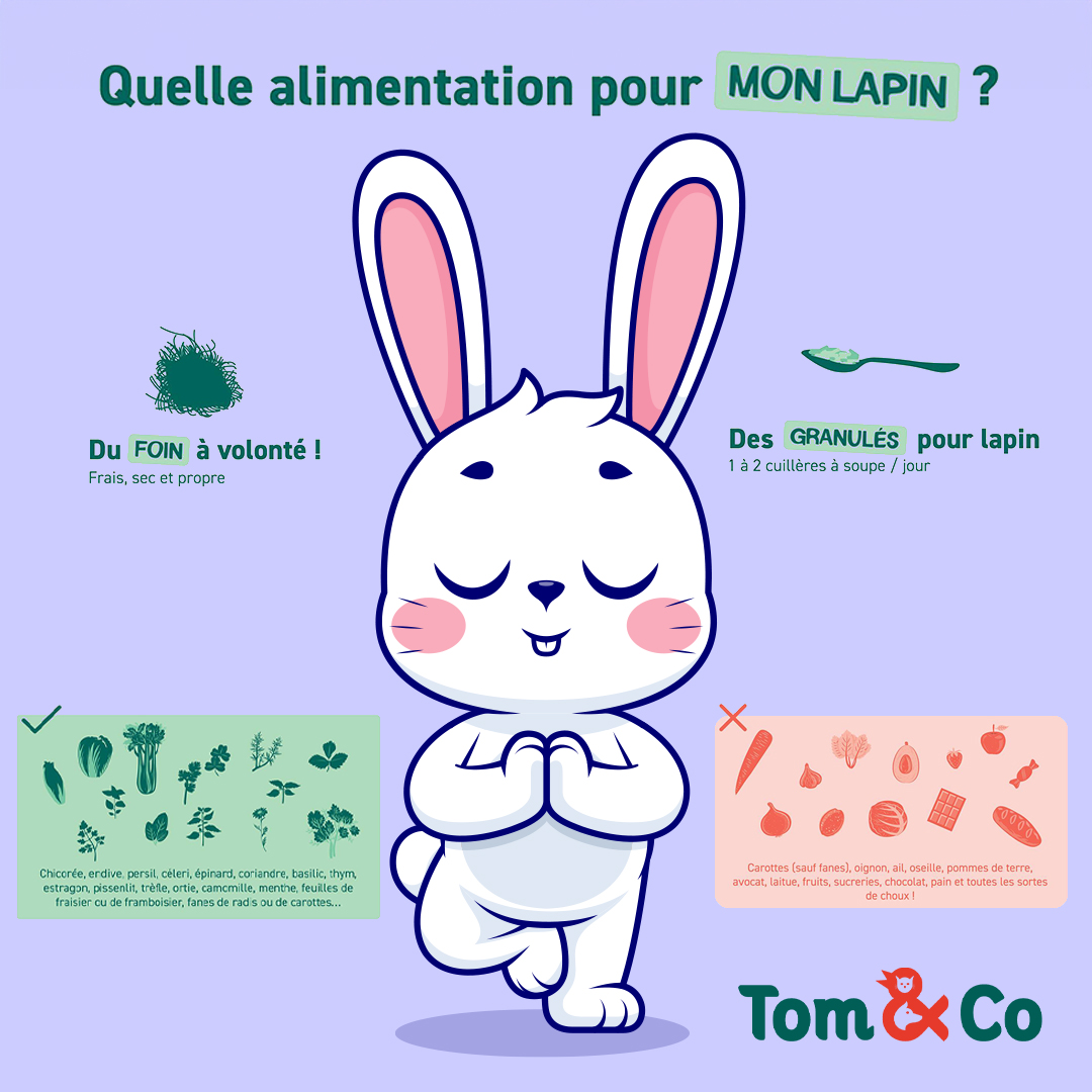 Tom & Co - Posts réseaux sociaux