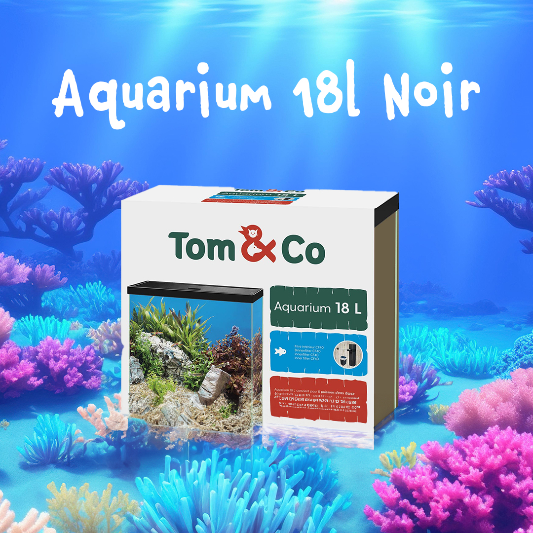 Tom & Co - Posts réseaux sociaux