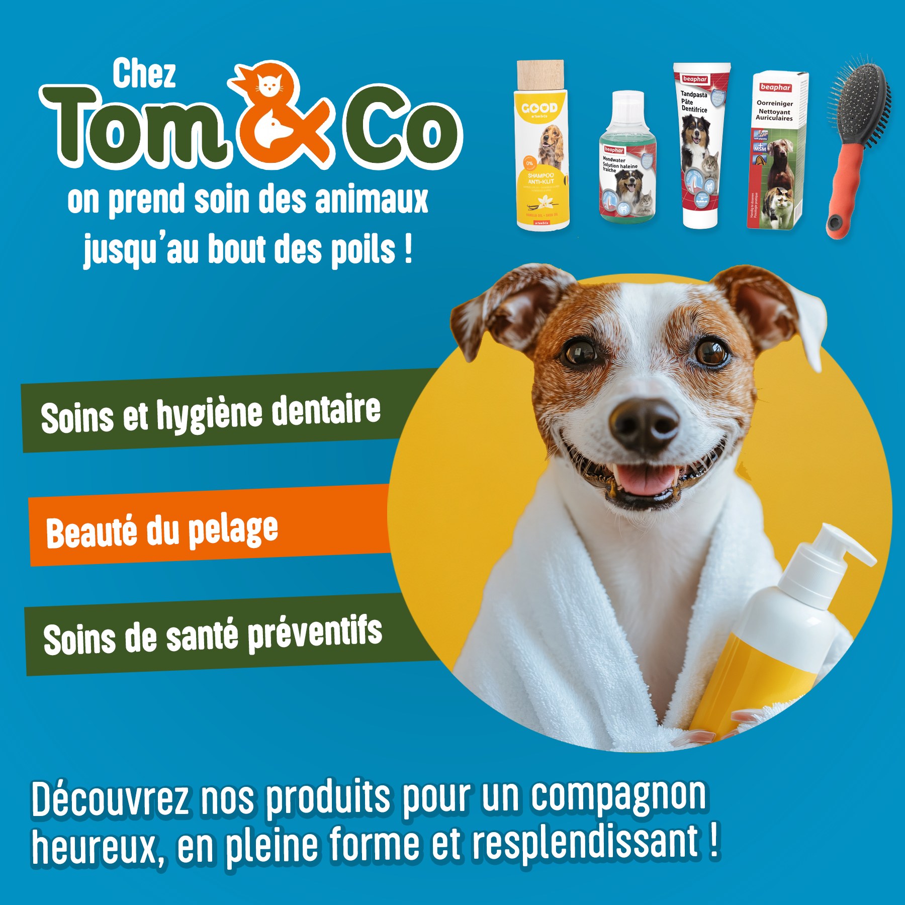 Tom & Co - Posts réseaux sociaux