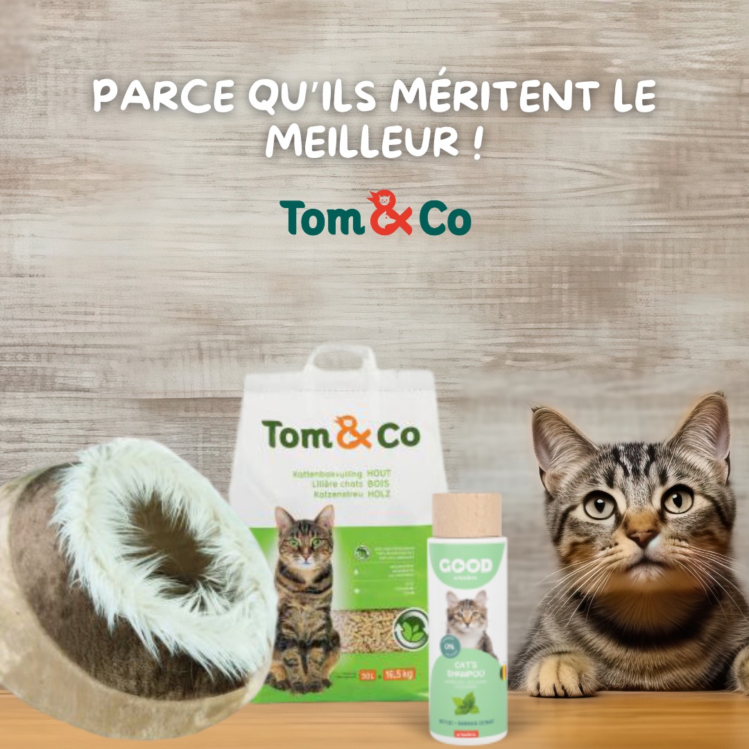 Tom & Co - Posts réseaux sociaux