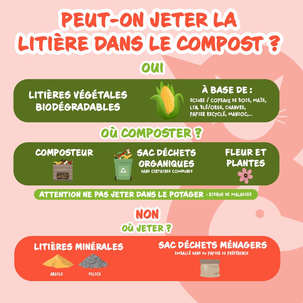 Tom & Co - Posts réseaux sociaux