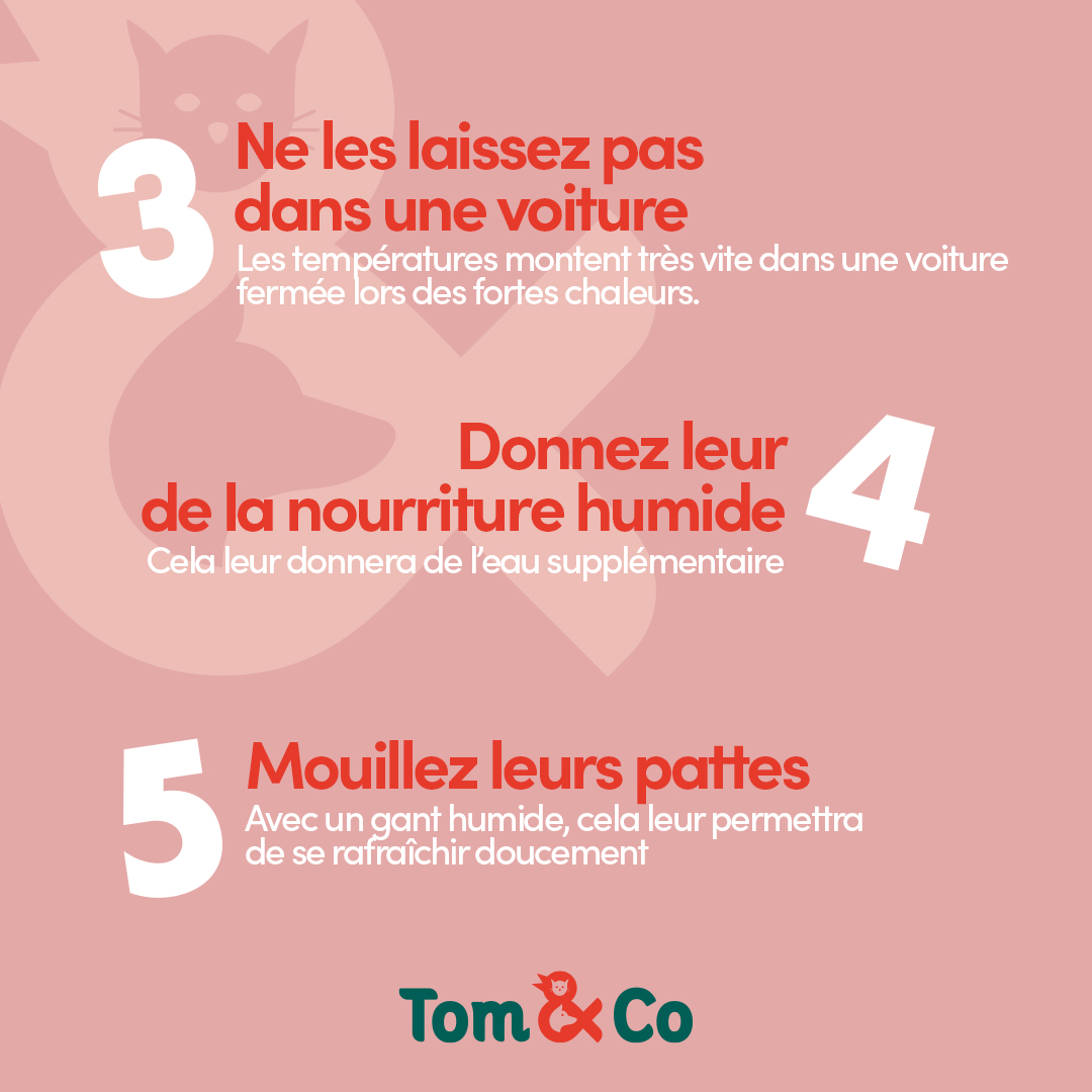 Tom & Co - Posts réseaux sociaux