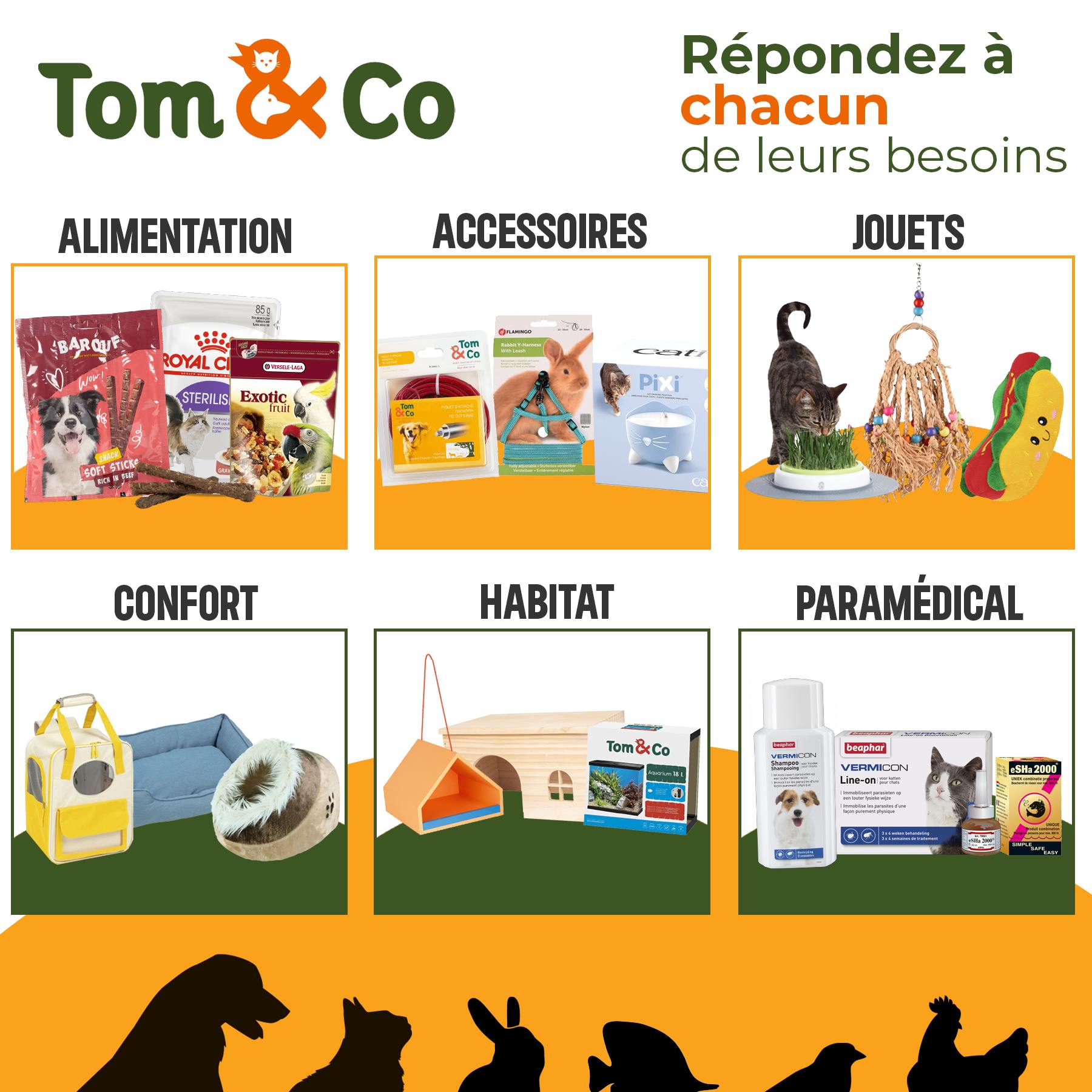 Tom & Co - Posts réseaux sociaux