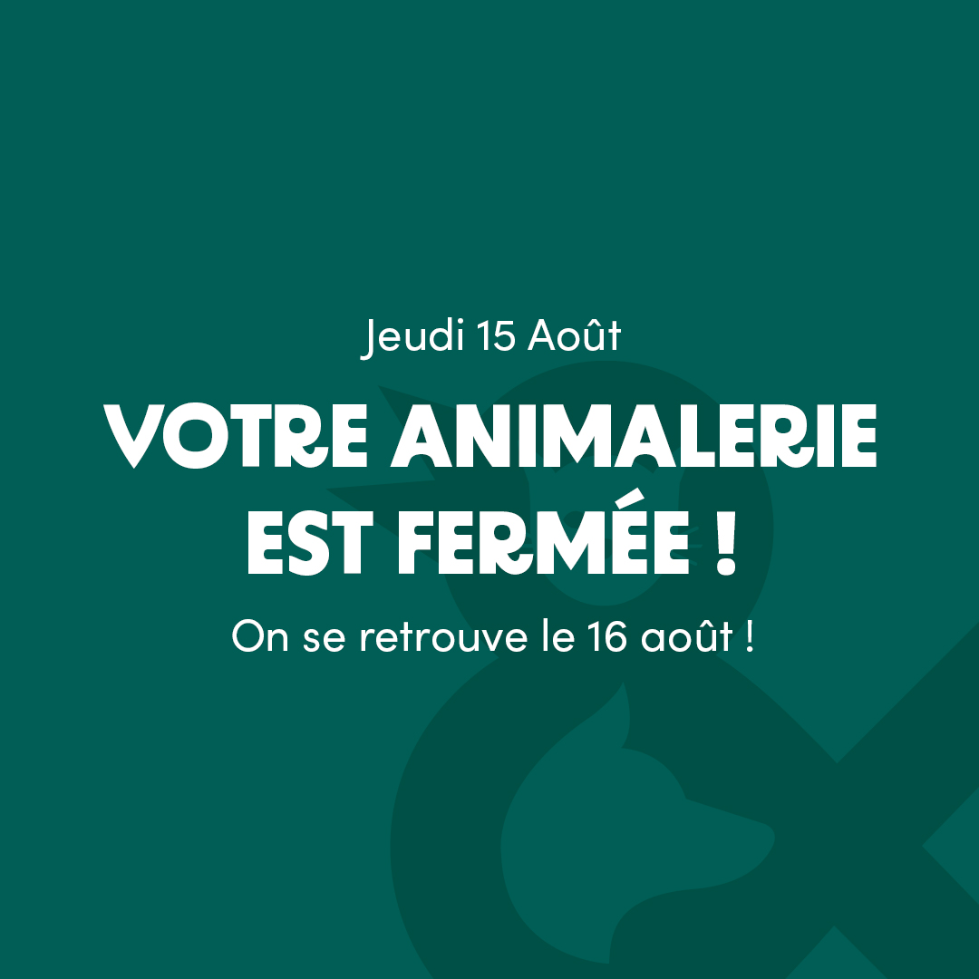 Tom & Co - Posts réseaux sociaux