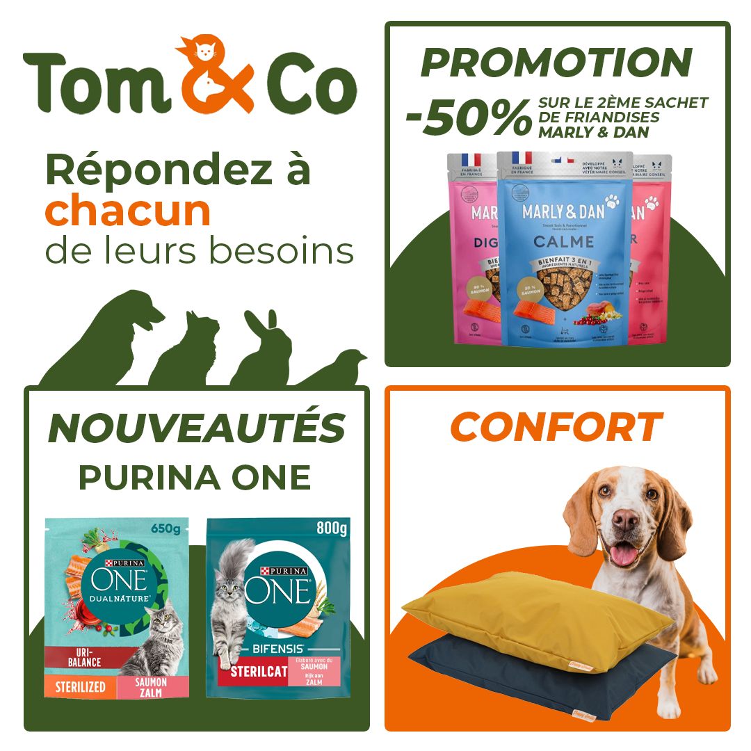 Tom & Co - Posts réseaux sociaux