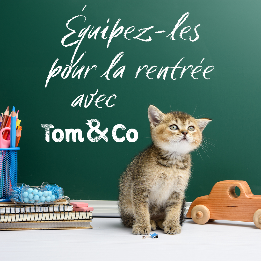 Tom & Co - Posts réseaux sociaux
