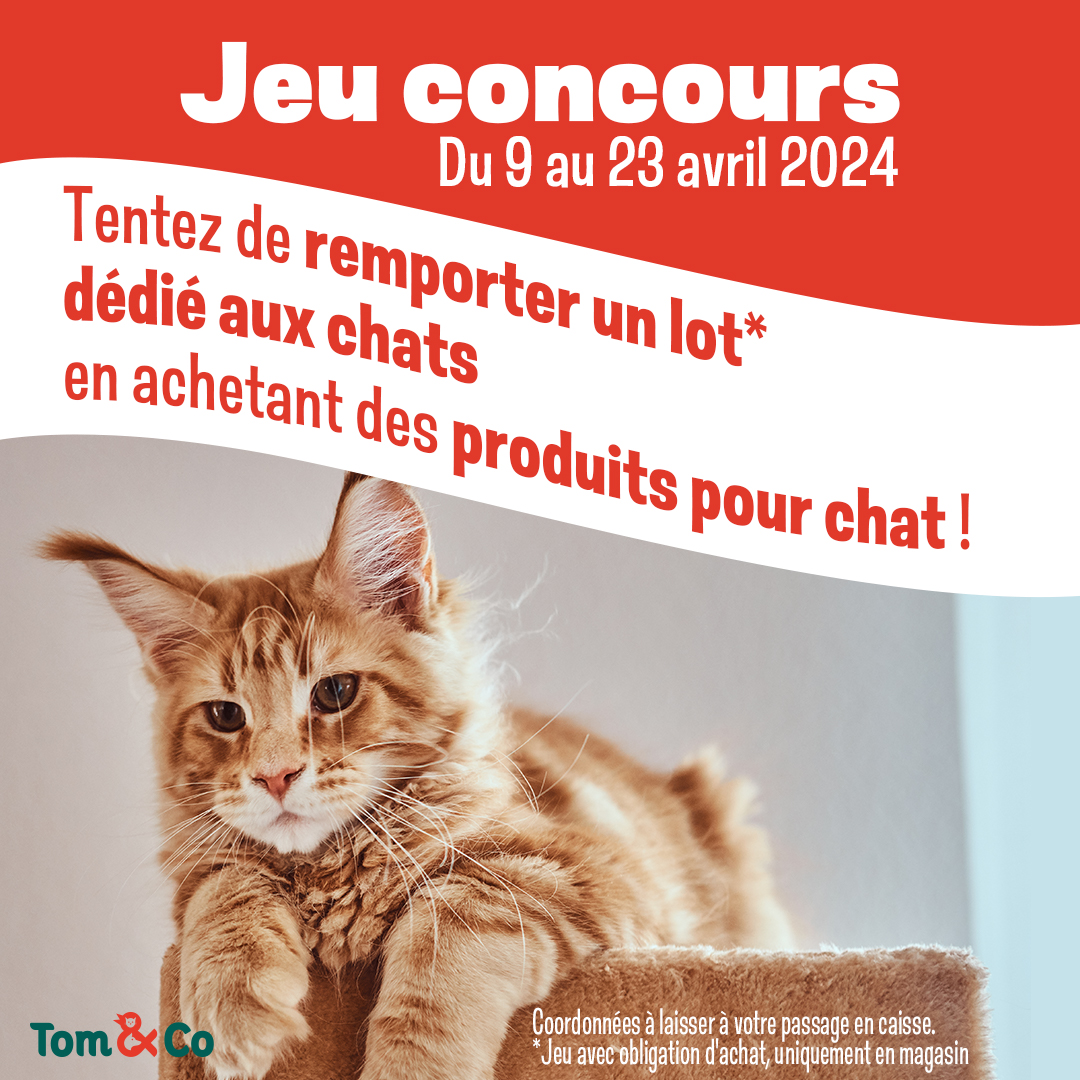 Tom & Co - Jeux concours